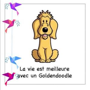 Meet your Posher, Brigitte